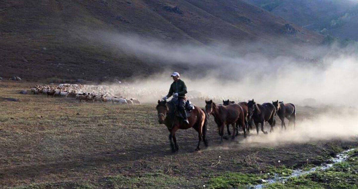 Millenary culture and philosophy of nomads - e-history.kz